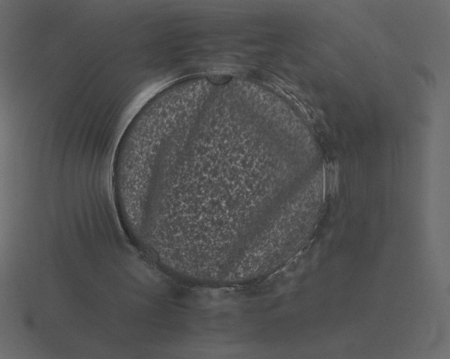 X0000116600147200912241720