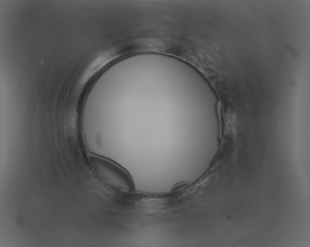 X0000116600150200912241720