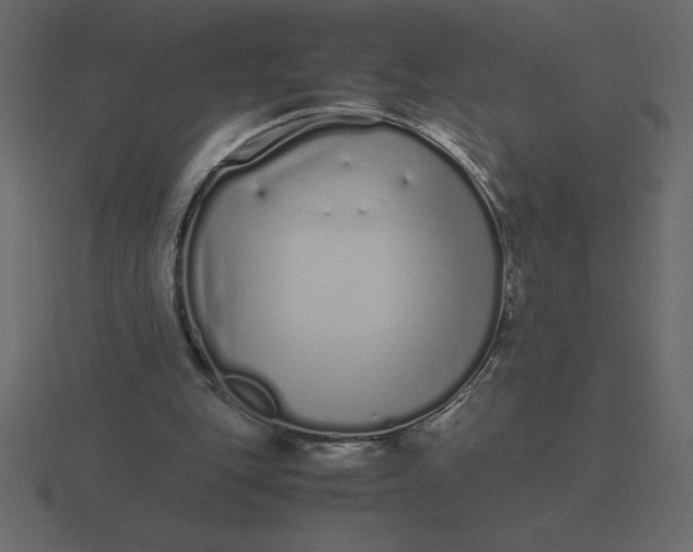 X0000116600151200912241720