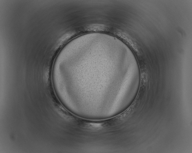 X0000116600159200912241721