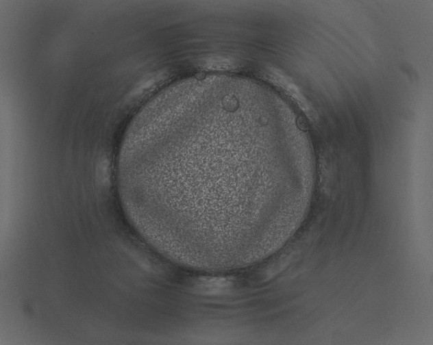 X0000116600161200912241721