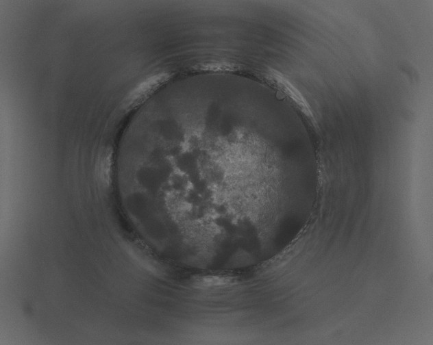 X0000116600163200912241721