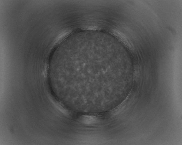 X0000116600167200912241721