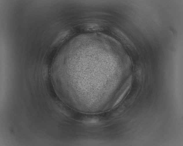 X0000116600169200912241721