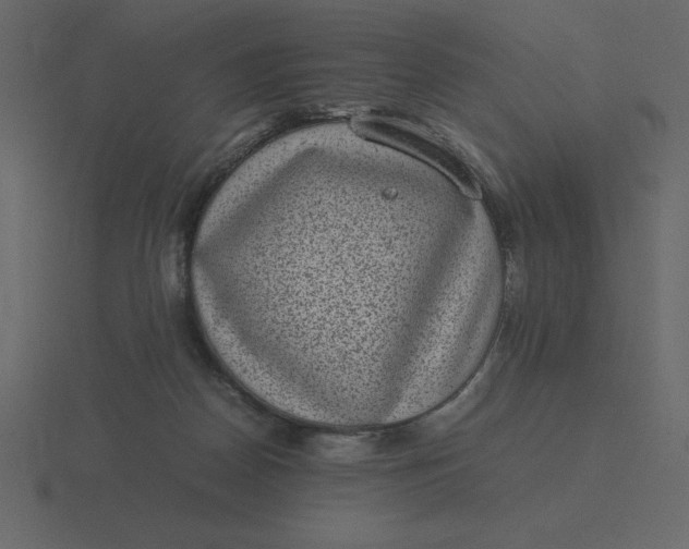 X0000116600170200912241721