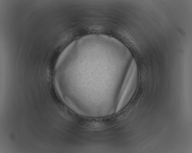 X0000116600173200912241721