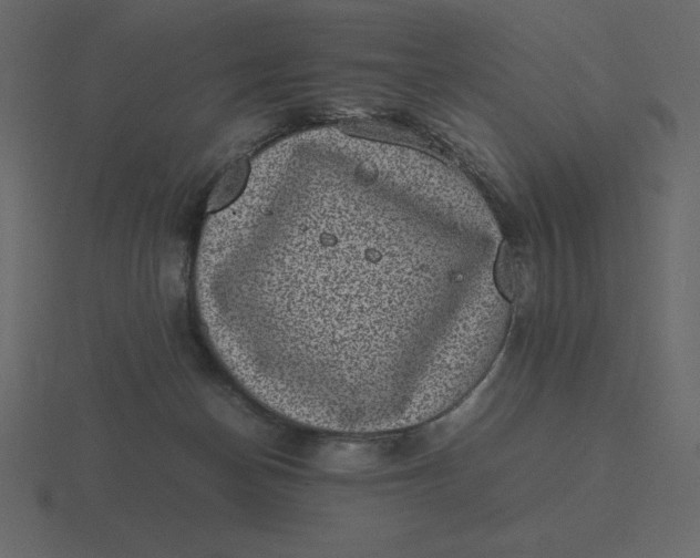 X0000116600174200912241721