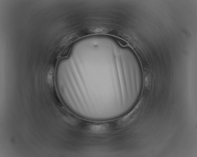 X0000116600175200912241721