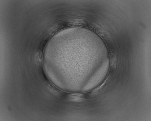 X0000116600179200912241721