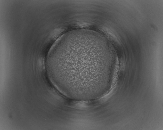 X0000116600182200912241721