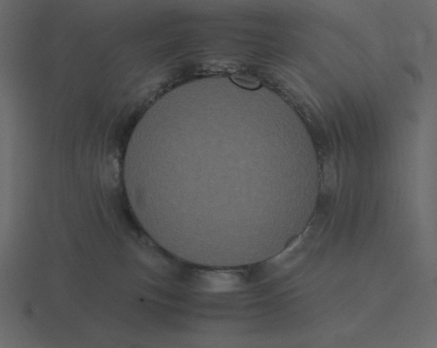 X0000116600183200912241721