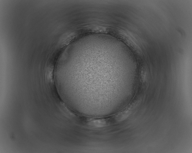 X0000116600185200912241721