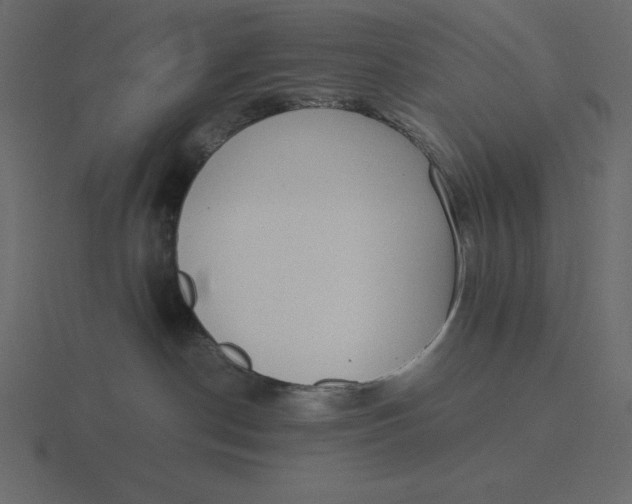 X0000116600190200912241721