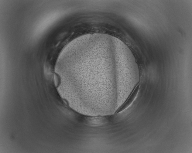 X0000116600191200912241721