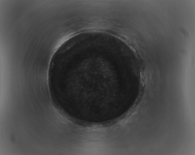 X0000116600196200912241720