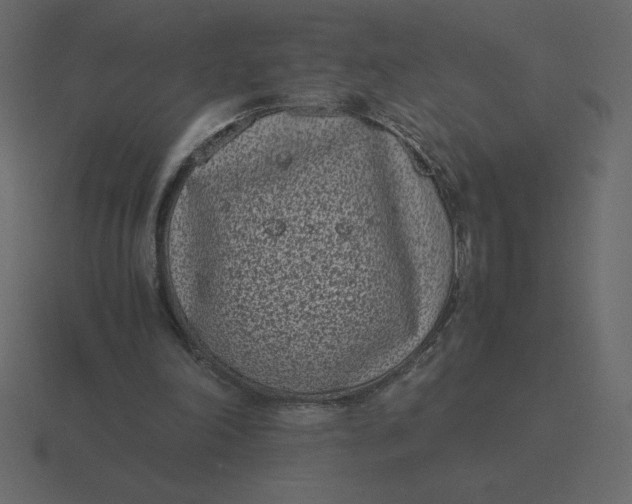 X0000116600198200912241720