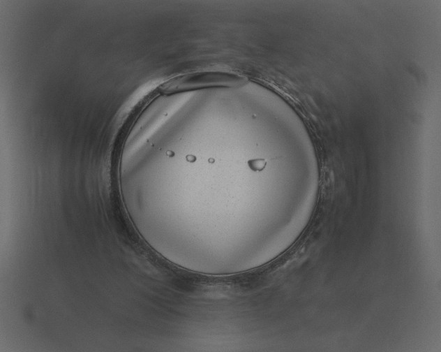 X0000116600200200912241720