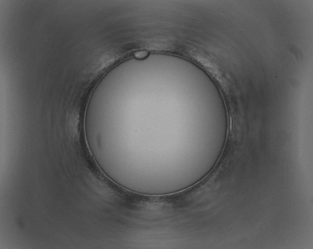 X0000116600201200912241720