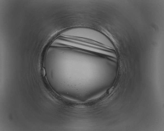 X0000116600203200912241720