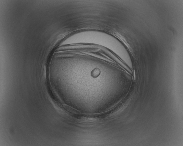 X0000116600205200912241720