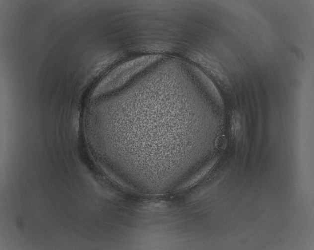 X0000116600206200912241720