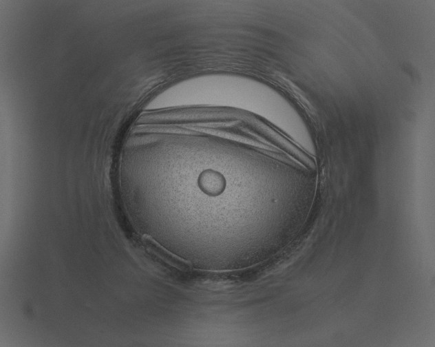 X0000116600209200912241720