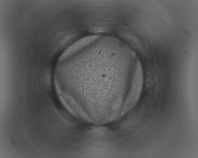 X0000116600210200912241720