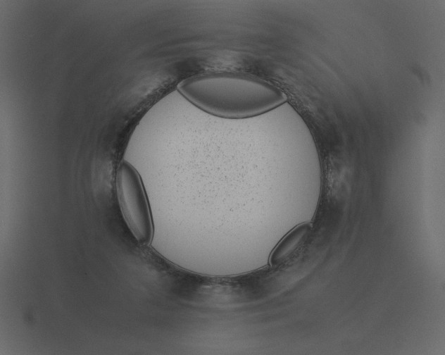 X0000116600211200912241720