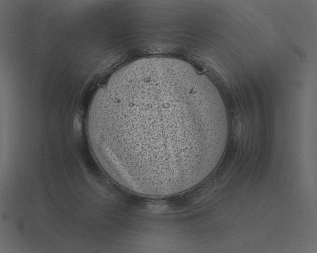 X0000116600214200912241720