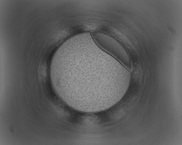 X0000116600215200912241720