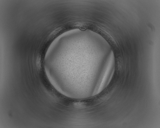 X0000116600216200912241720