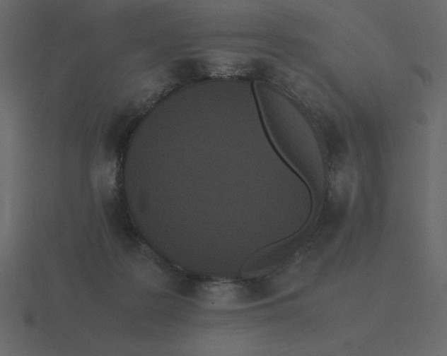 X0000116600219200912241720