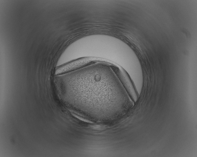 X0000116600221200912241720