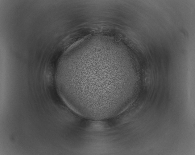 X0000116600226200912241720