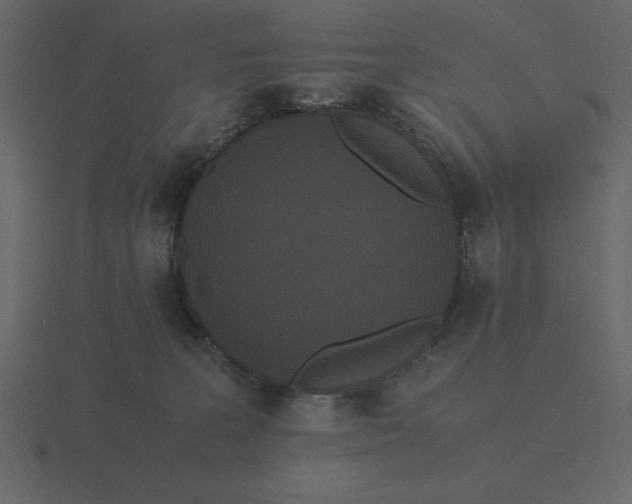 X0000116600227200912241720