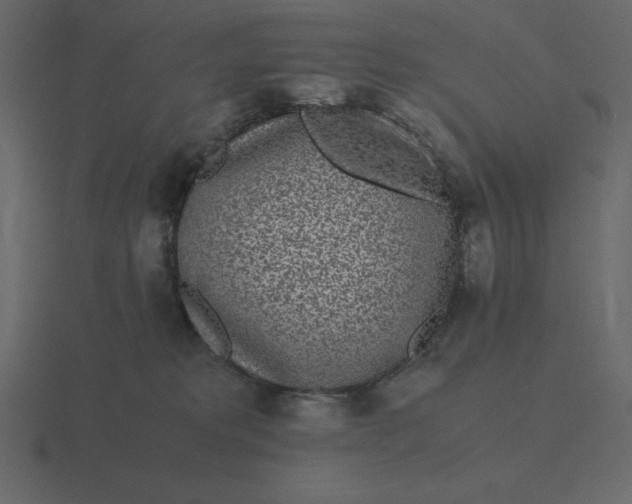 X0000116600229200912241720