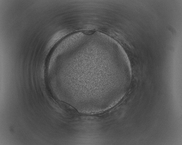 X0000116600242200912241719