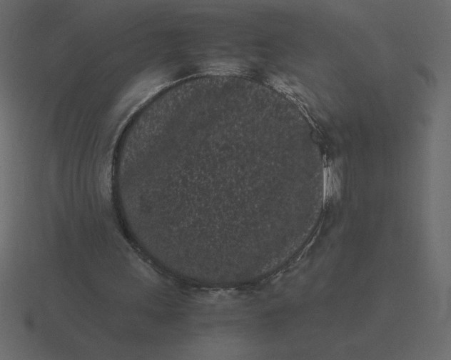 X0000116600243200912241719