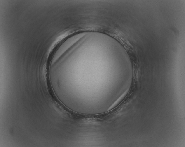 X0000116600244200912241719