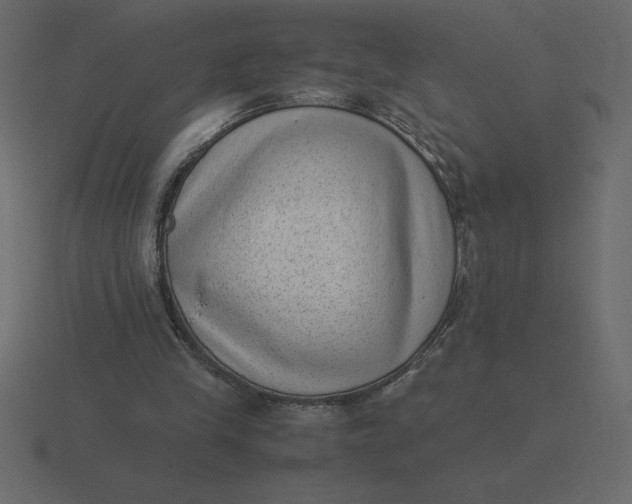 X0000116600245200912241719