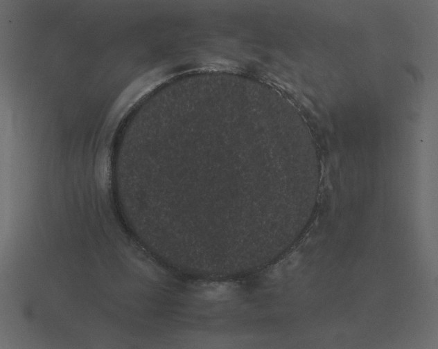 X0000116600247200912241719