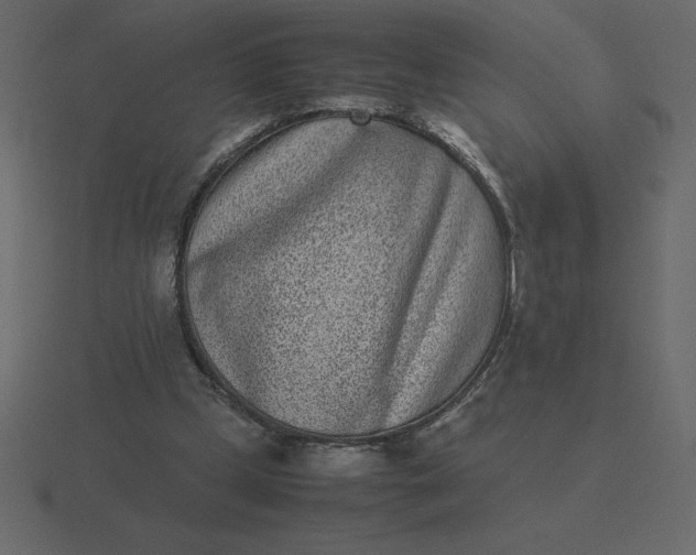 X0000116600249200912241719