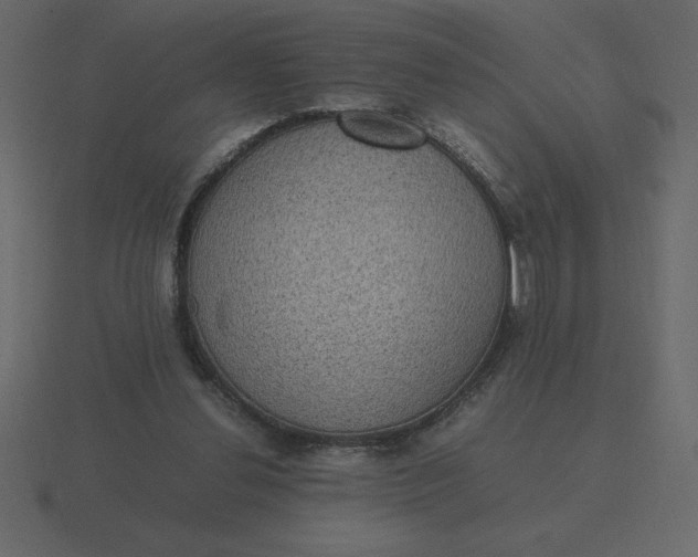 X0000116600252200912241719