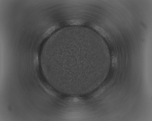 X0000116600254200912241719