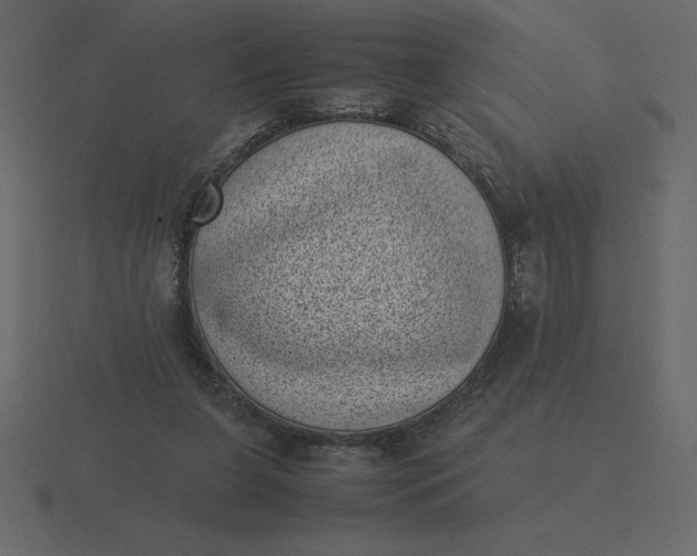 X0000116600255200912241719