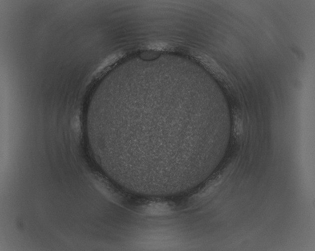 X0000116600256200912241719