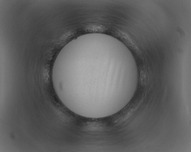 X0000116600259200912241719