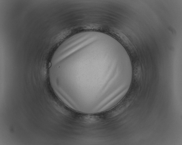 X0000116600261200912241719