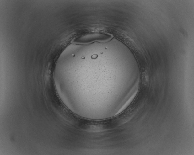 X0000116600263200912241719
