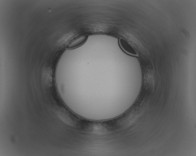 X0000116600264200912241719